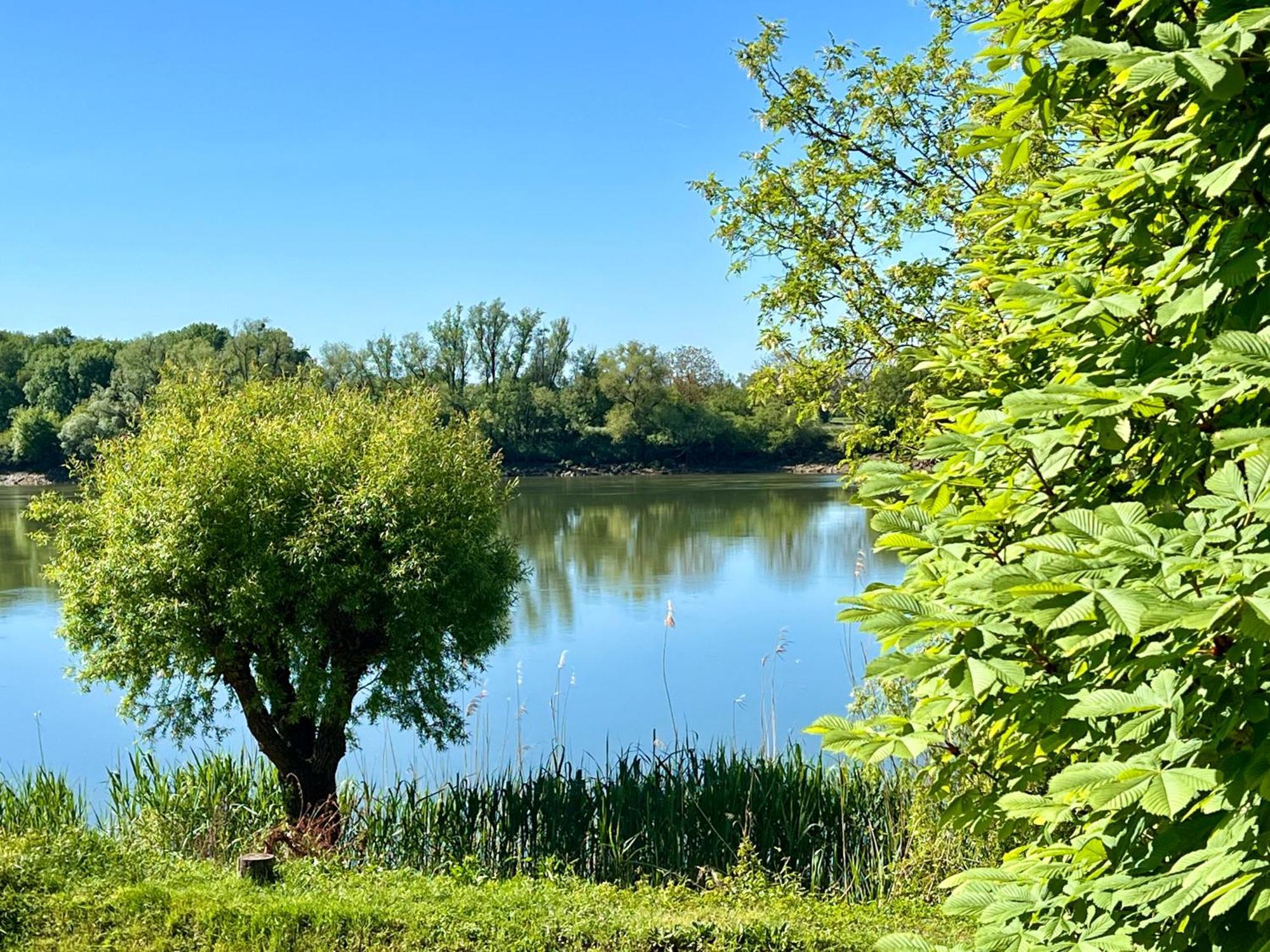 La Villa Du Fleuve Quinsac  Екстериор снимка